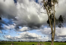 马刺关键时刻逆袭，捍卫荣誉