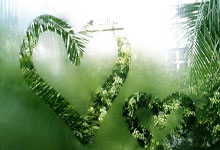 卫冕冠军巴黎圣日耳曼客场奏凯，昂热告别法国杯征程