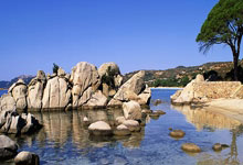 阿尔科尔孔的胜利凯歌：追逐梦想，书写荣耀！